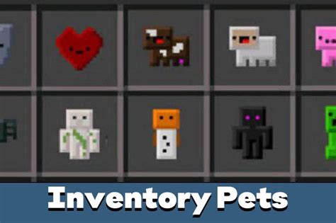 inventory pets cloud pet no descend